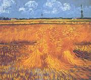 Vincent Van Gogh Wheatfields With Cypress at Arles oil on canvas